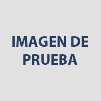 Prueba insc